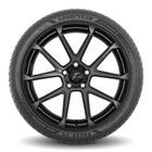 Thumbnail 3 for Eagle&reg; F1 All Season