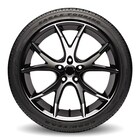 Thumbnail 3 for Eagle&reg; Touring ROF