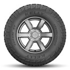 Thumbnail 3 for Safari&reg; AT